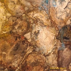 Material Petrified Wood (2)