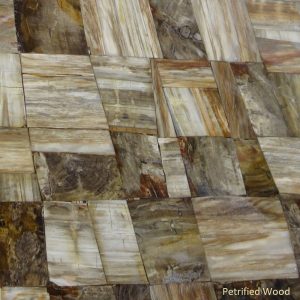 Material Petrified Wood